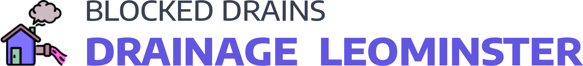 website logo